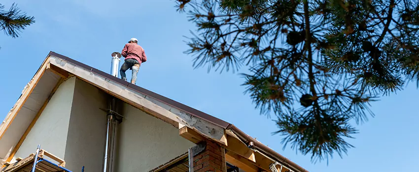 Birds Removal Contractors from Chimney in Mineral Wells, TX