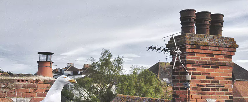 Chimney Cleaning And Restoration in Mineral Wells, Texas